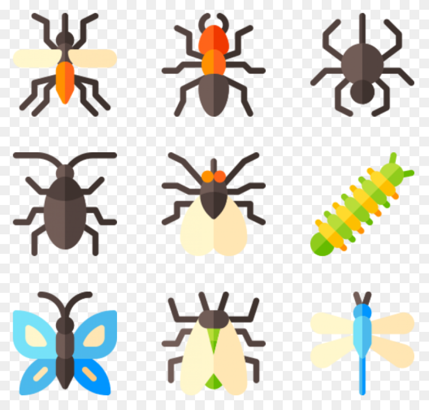 Free Png Cricket Insect Clipart Png