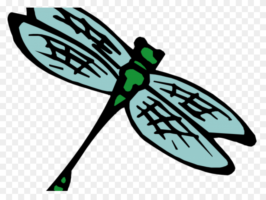 Free Png Cricket Insect Clipart Png