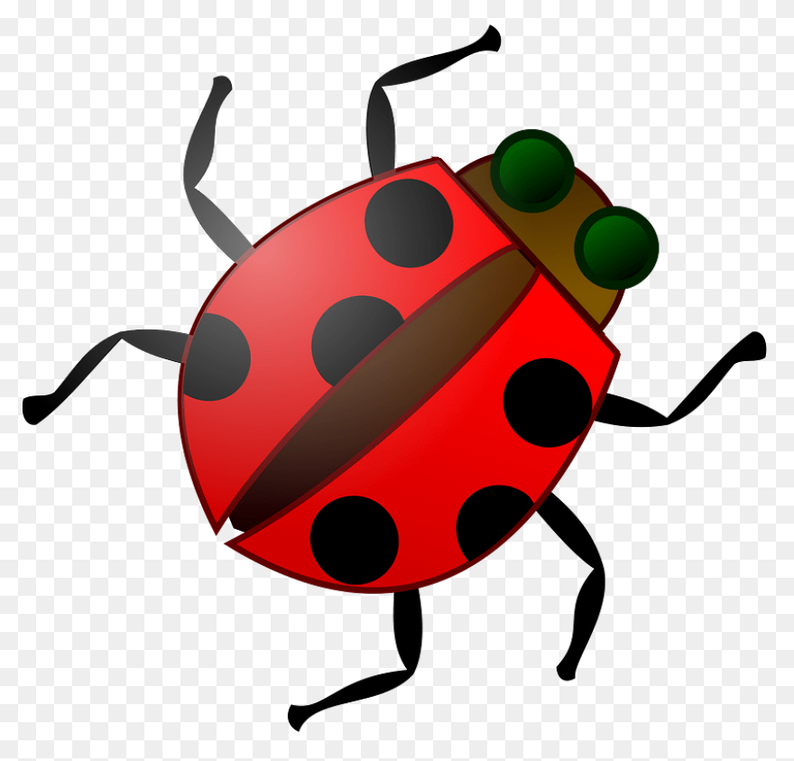 Free Png Cricket Insect Clipart Png