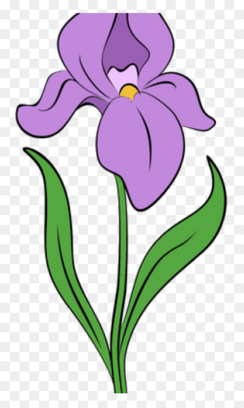 Download Iris Flower Png Clipart - 