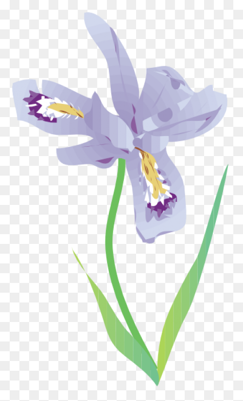Download Iris Flower Png Clipart - 