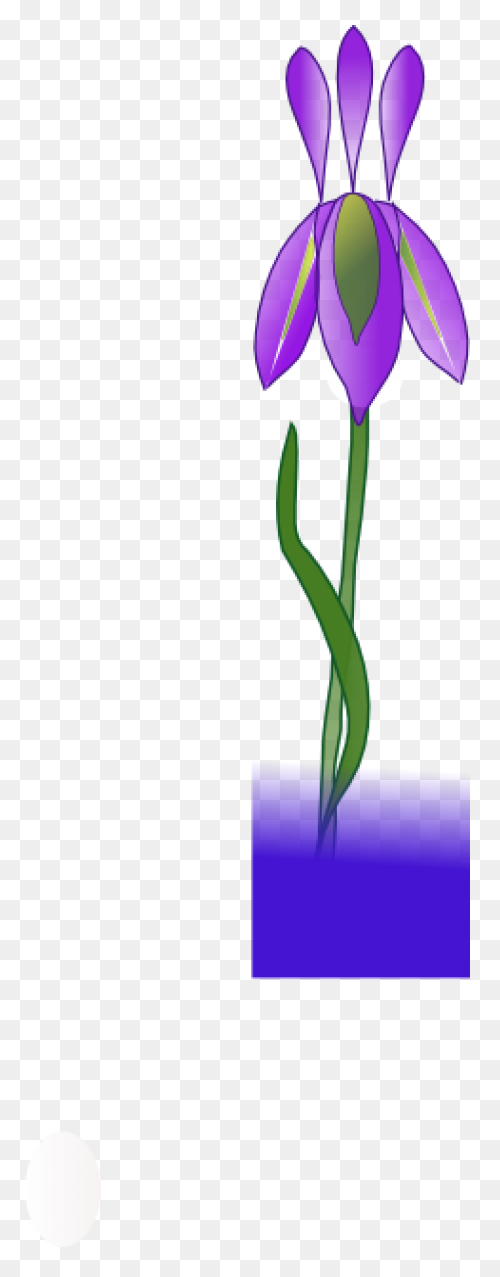 Download Iris Flower Png Clipart - 