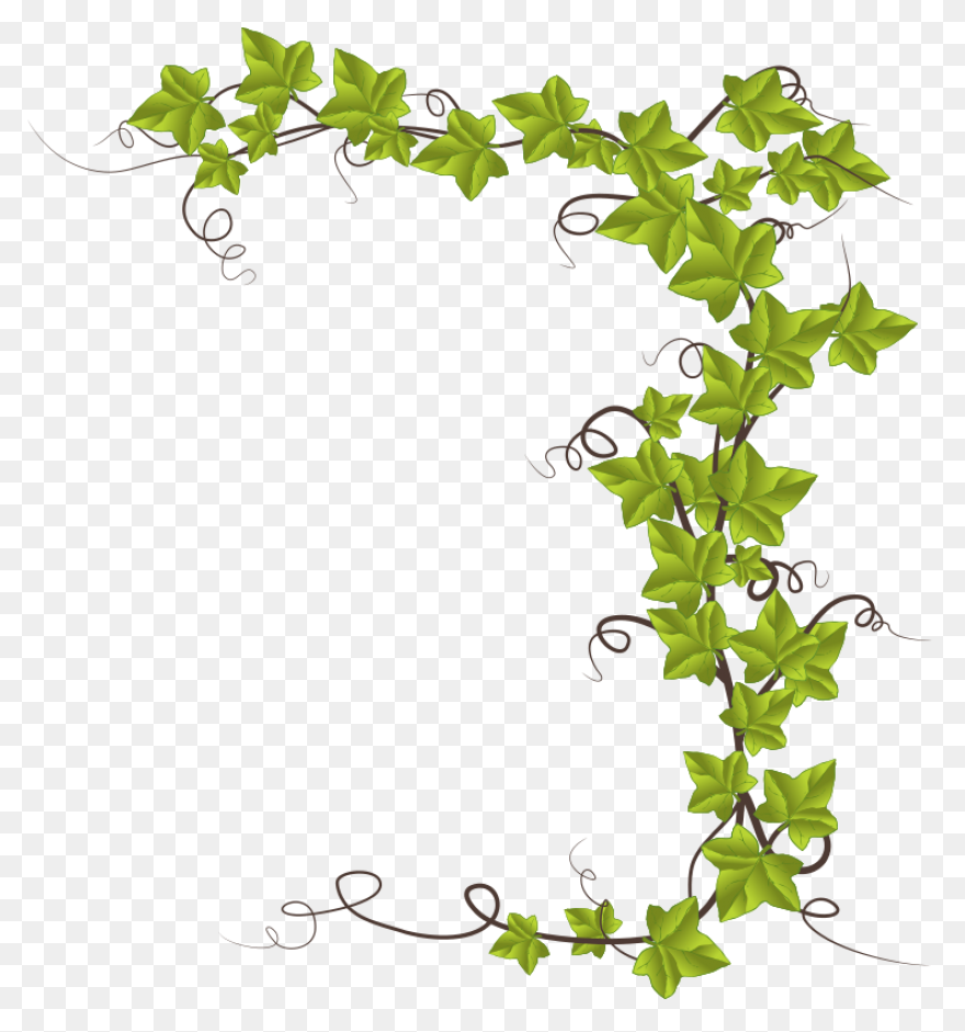Aka Ivy Clipart - Clipart Suggest