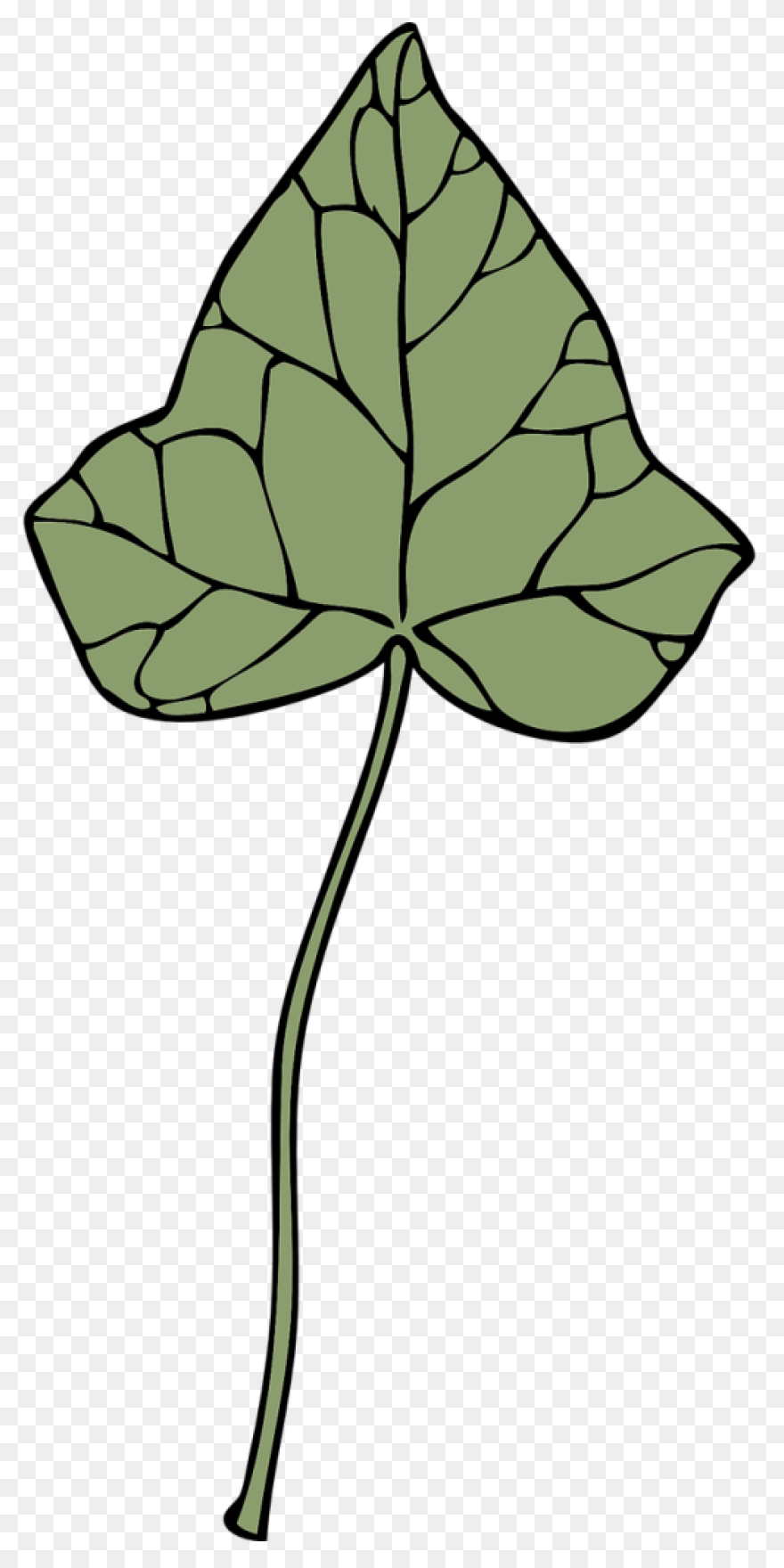 Aka Ivy Clipart - Clipart Suggest