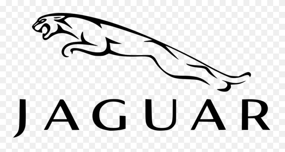Jaguar Catalog Of Models: Specifications - Jaguar