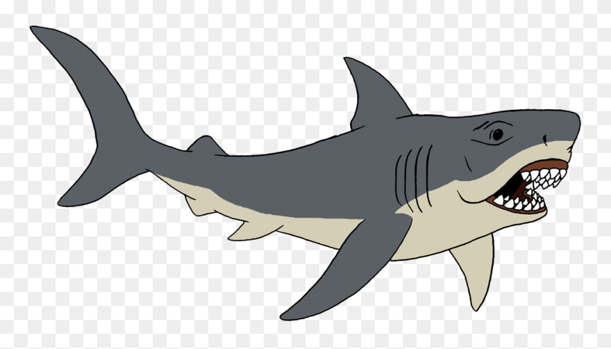 Great White Shark Shark Jaws Clip A