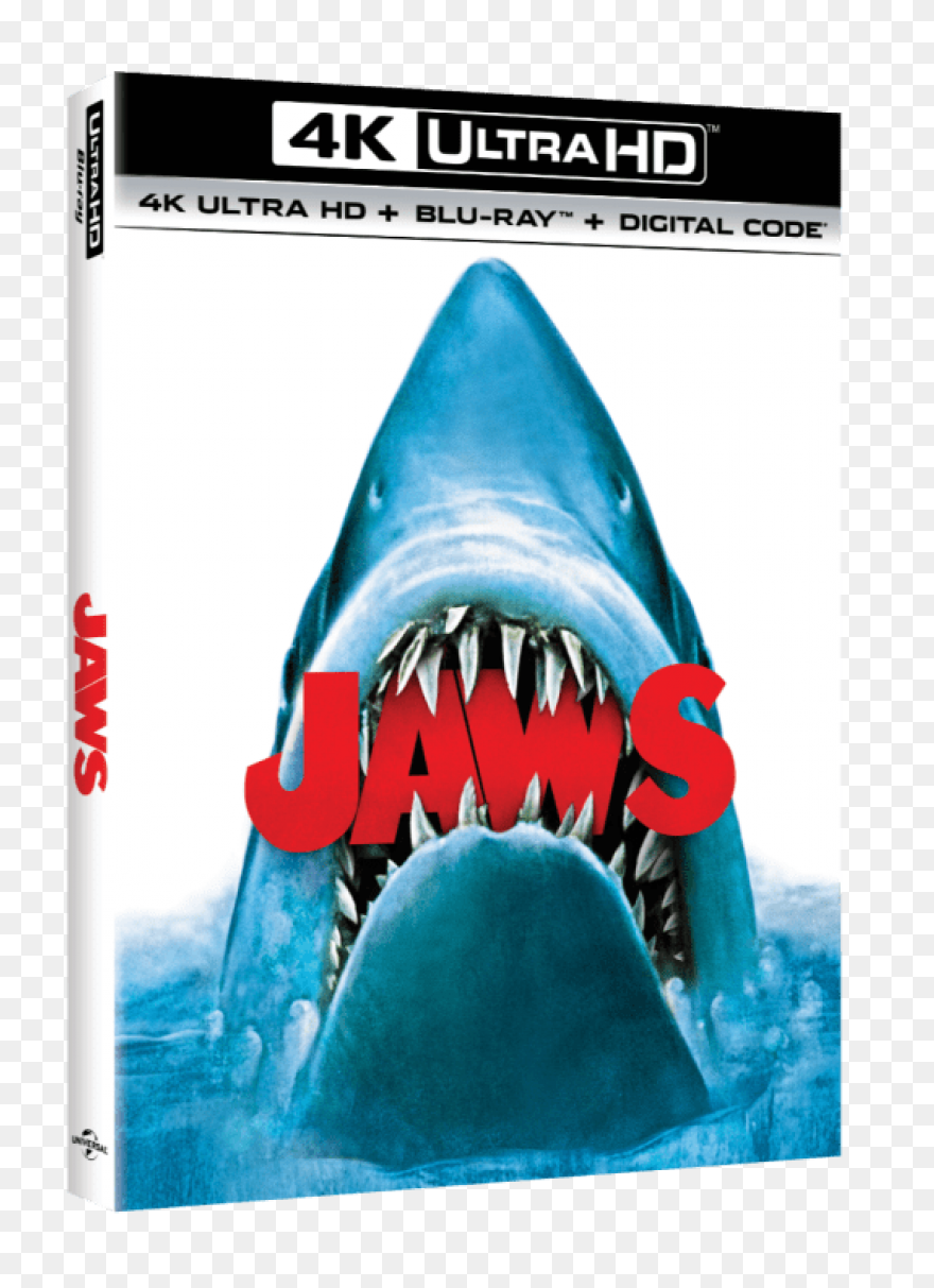 Great White Shark Shark Jaws Clip A