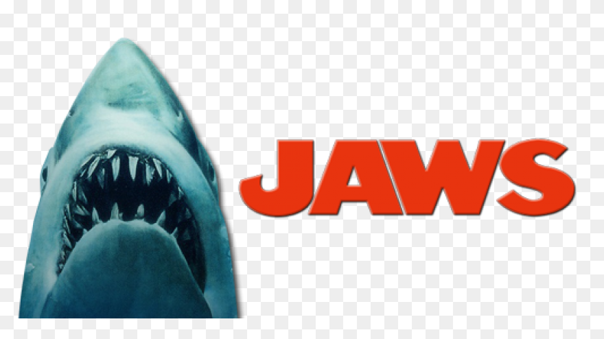 Great White Shark Shark Jaws Clip A