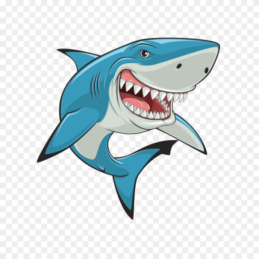 Great White Shark Shark Jaws Clip A