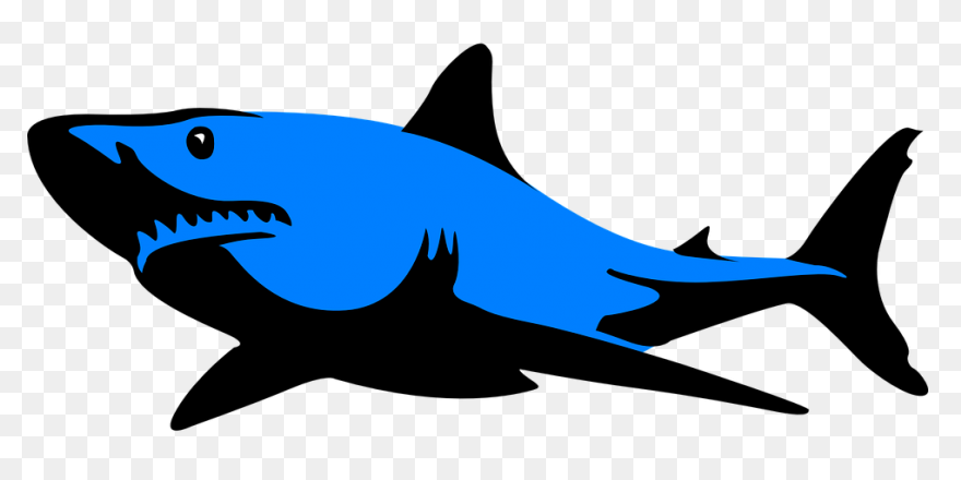 Great White Shark Shark Jaws Clip A