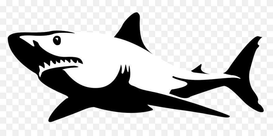 Great White Shark Shark Jaws Clip A