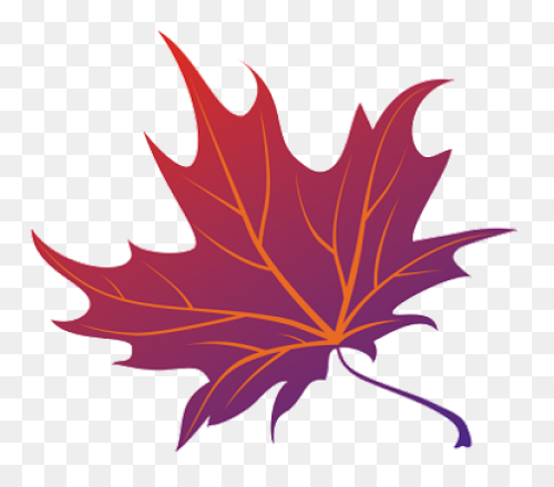 Red Maple Maple Leaf Sugar Maple Ja