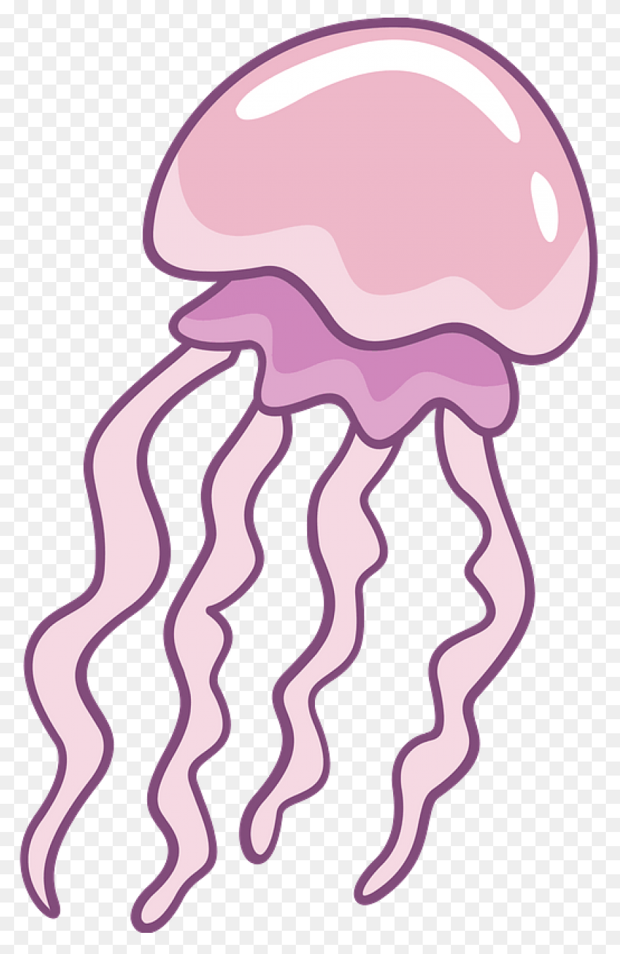 Jellyfish Clipart Free To Use Clip 
