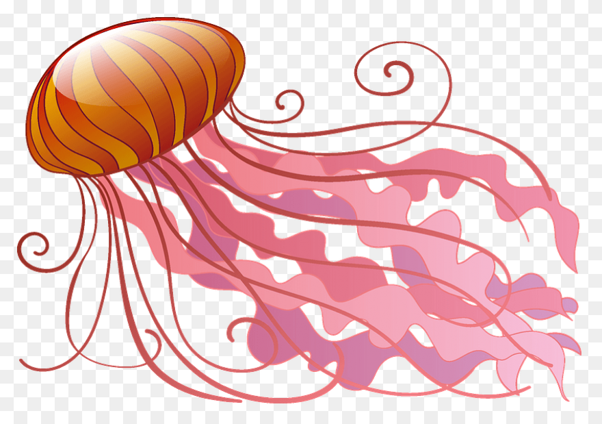 Jellyfish Clipart Free To Use Clip 