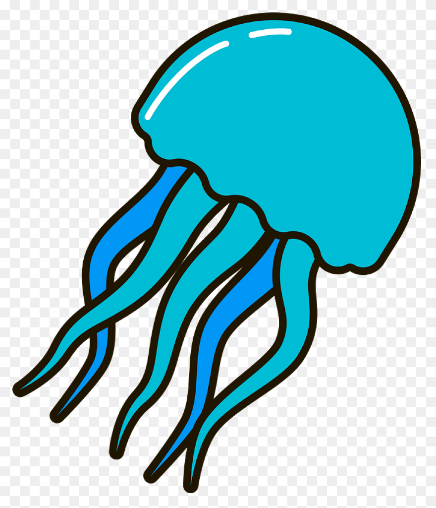 Jellyfish Clipart Free To Use Clip 