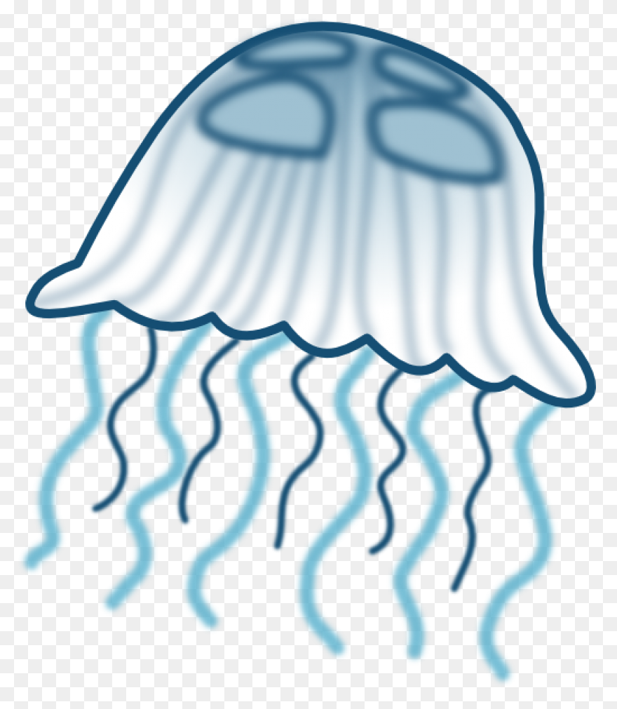 Jellyfish Clipart Free To Use Clip 