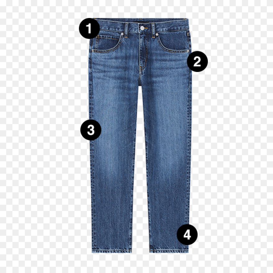 Jeans Tight Pants - Free Vector Gra
