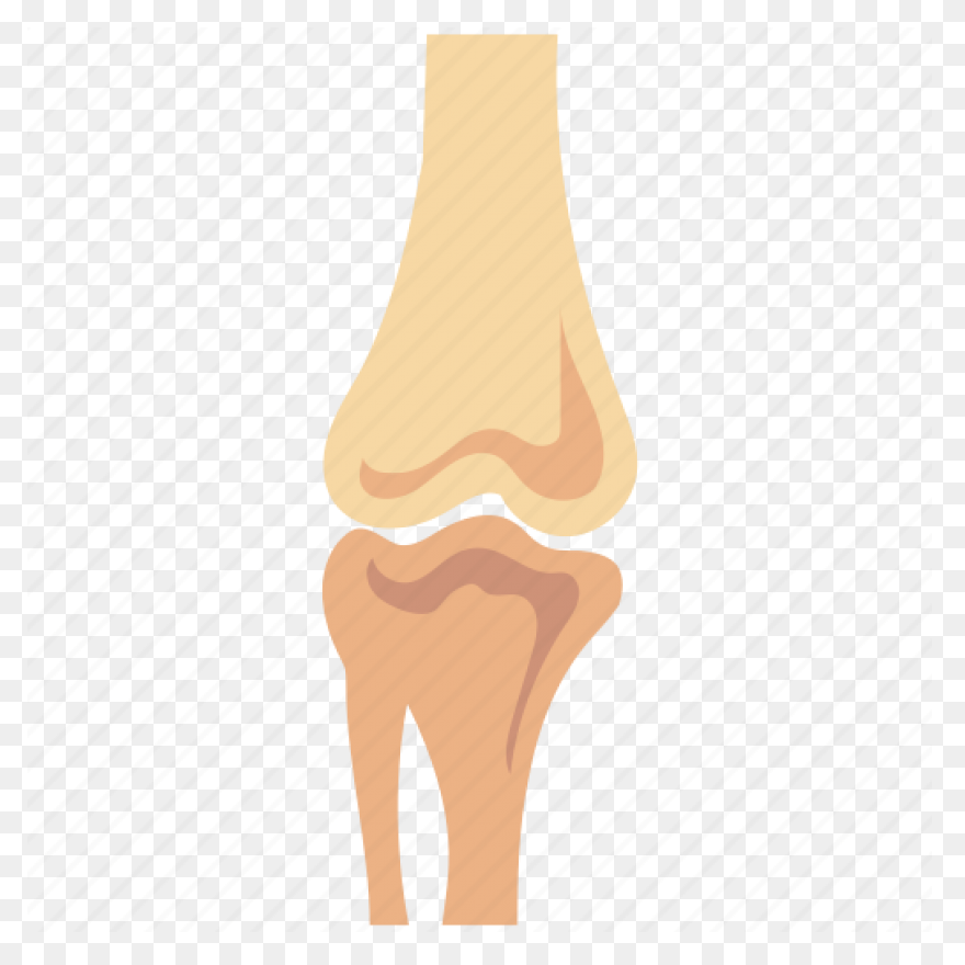 Joints In Human Body | Types Of Joi