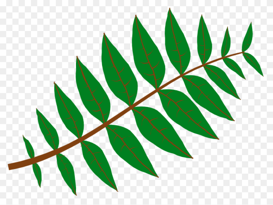 10 Jungle Leaves Ideas In 2021 | Le