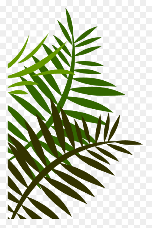 10 Jungle Leaves Ideas In 2021 | Le