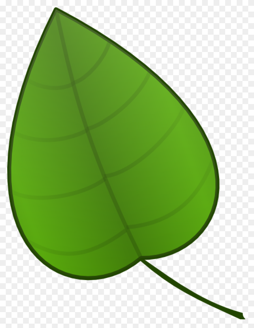 10 Jungle Leaves Ideas In 2021 | Le