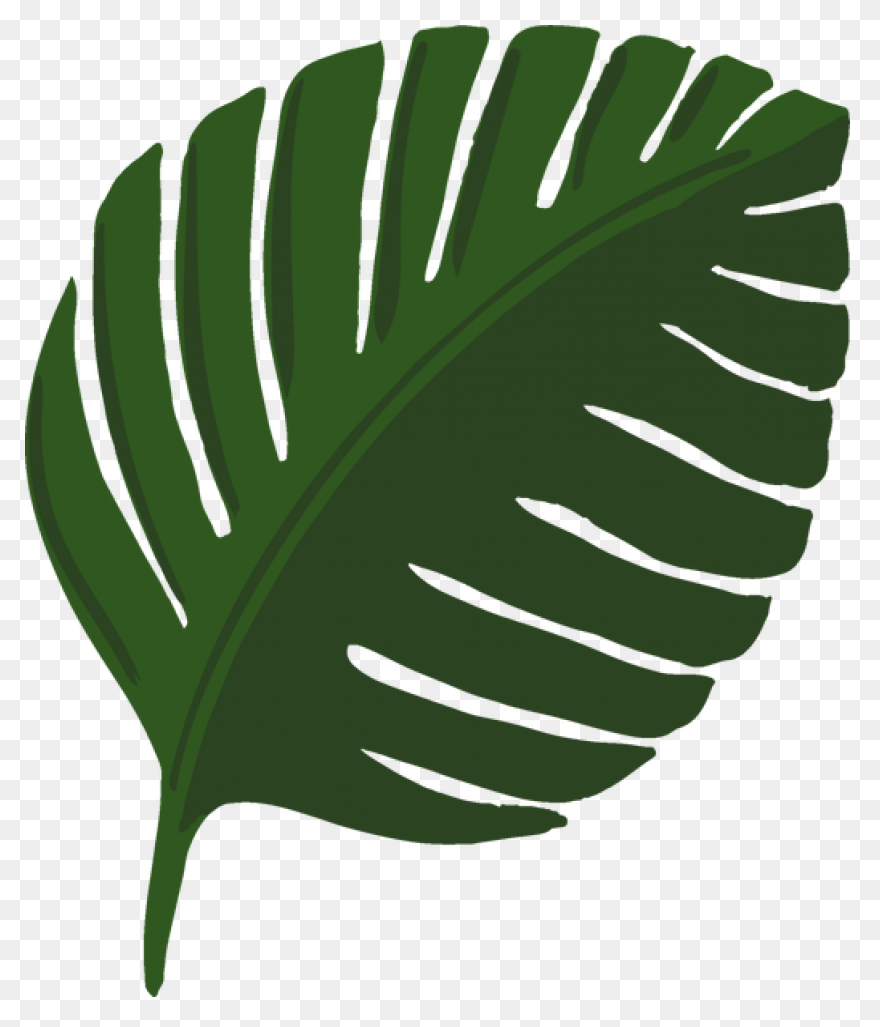 10 Jungle Leaves Ideas In 2021 | Le