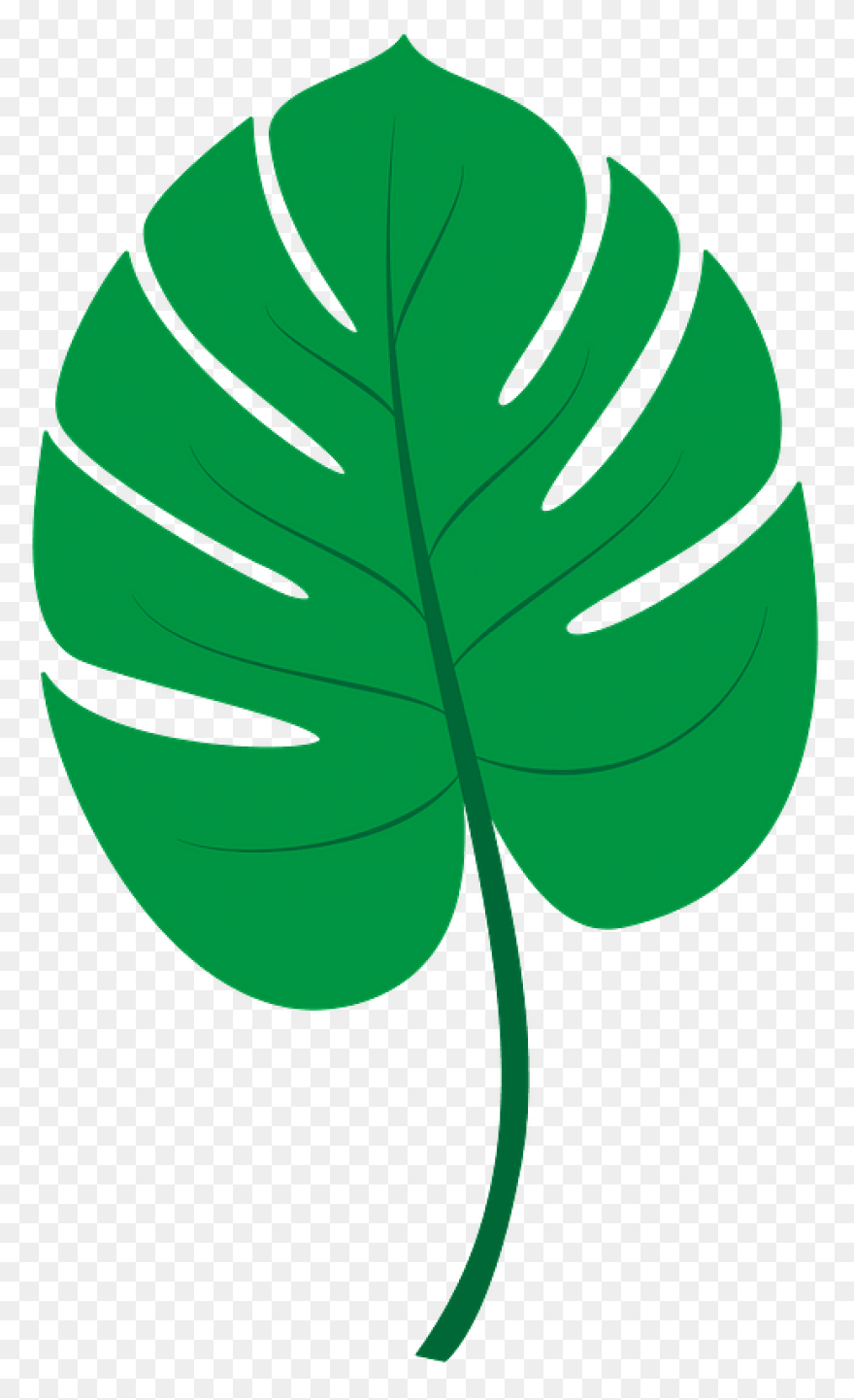 10 Jungle Leaves Ideas In 2021 | Le