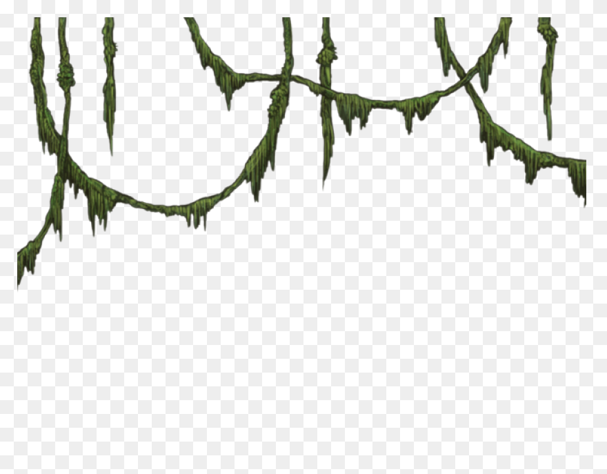 Jungle Trees Animated - ClipartFlar