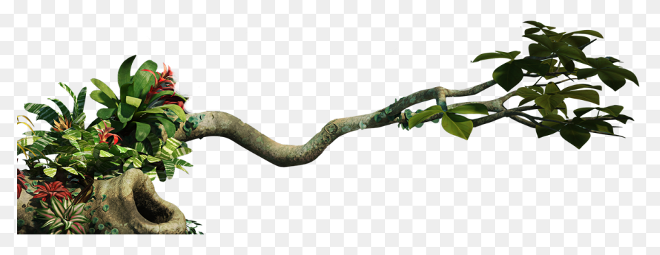 Jungle Trees Animated - ClipartFlar