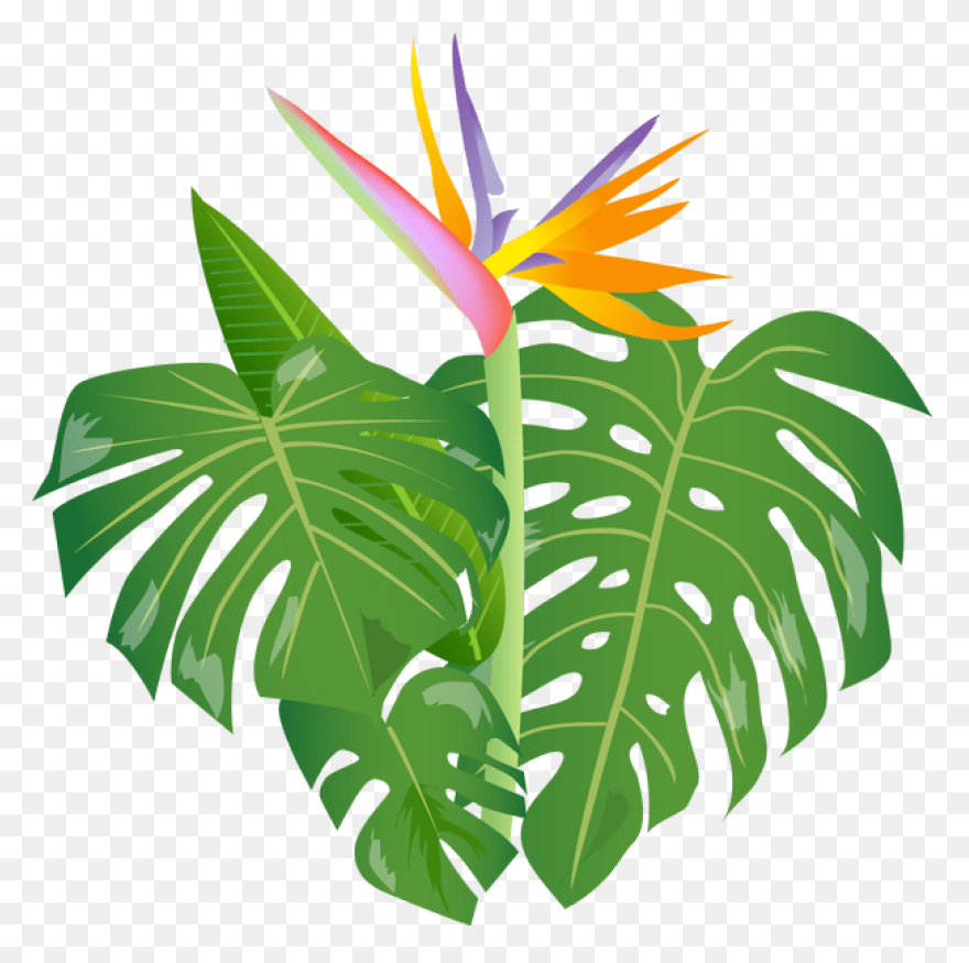 Jungle Trees Animated - ClipartFlar