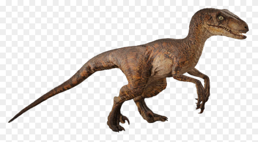 Download Jurassic World Clipart Jur