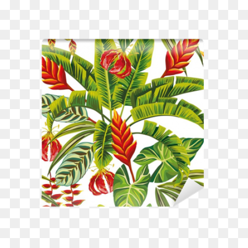 Free Jungle Plant Cliparts, Downloa