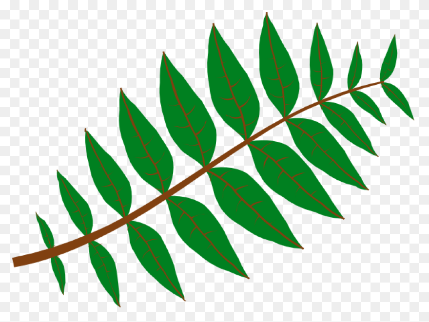 Free Jungle Plant Cliparts, Downloa