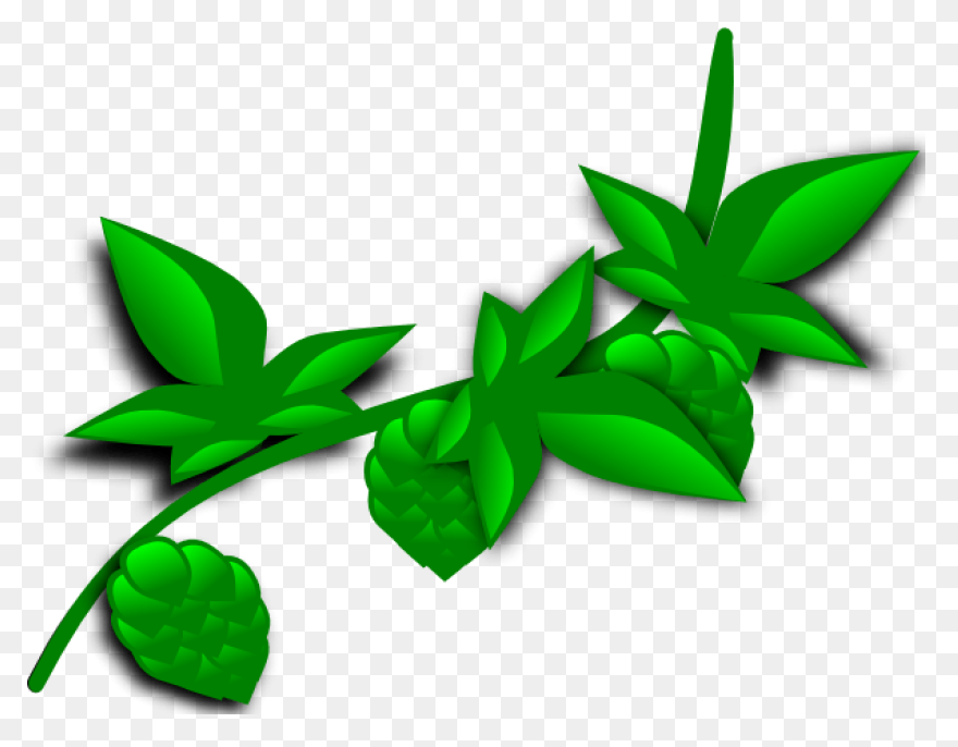 Free Jungle Plant Cliparts, Downloa