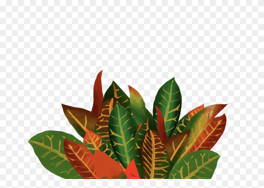 Free Jungle Plant Cliparts, Downloa