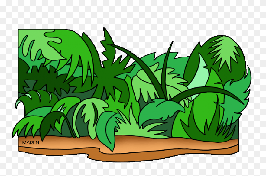 Free Jungle Plant Cliparts, Downloa