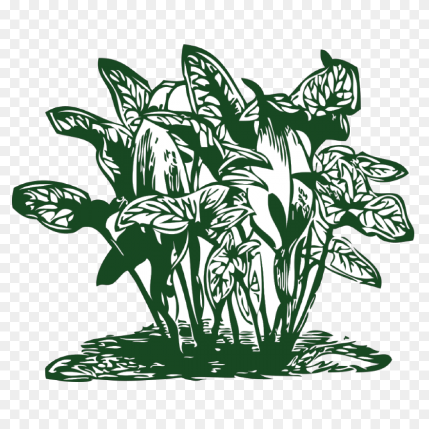 Free Jungle Plant Cliparts, Downloa