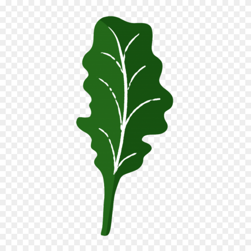 Our Veg | Kale