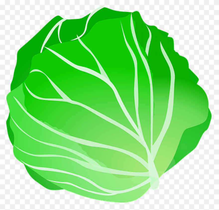 Our Veg | Kale