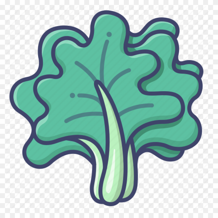 Our Veg | Kale