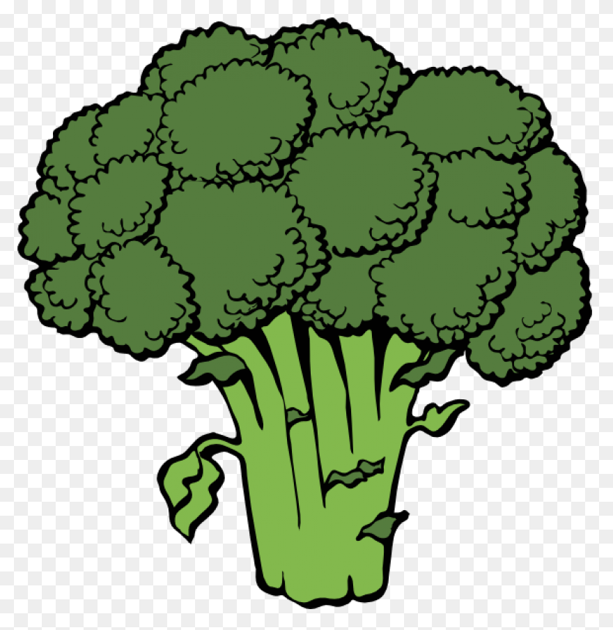 Our Veg | Kale