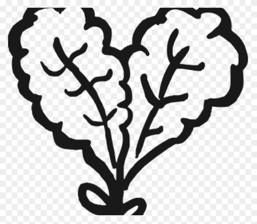 Our Veg | Kale