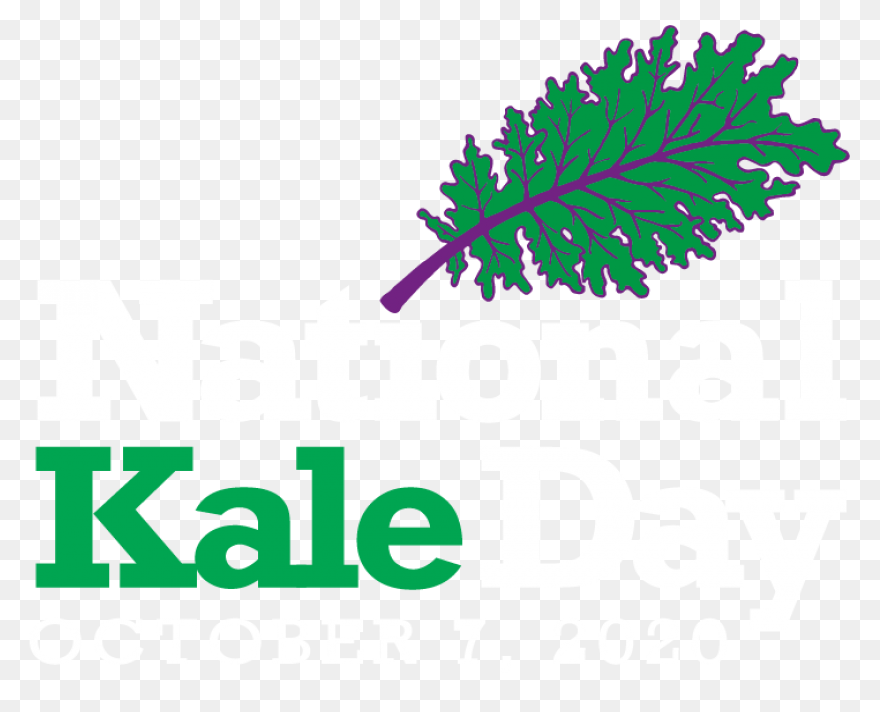 Our Veg | Kale