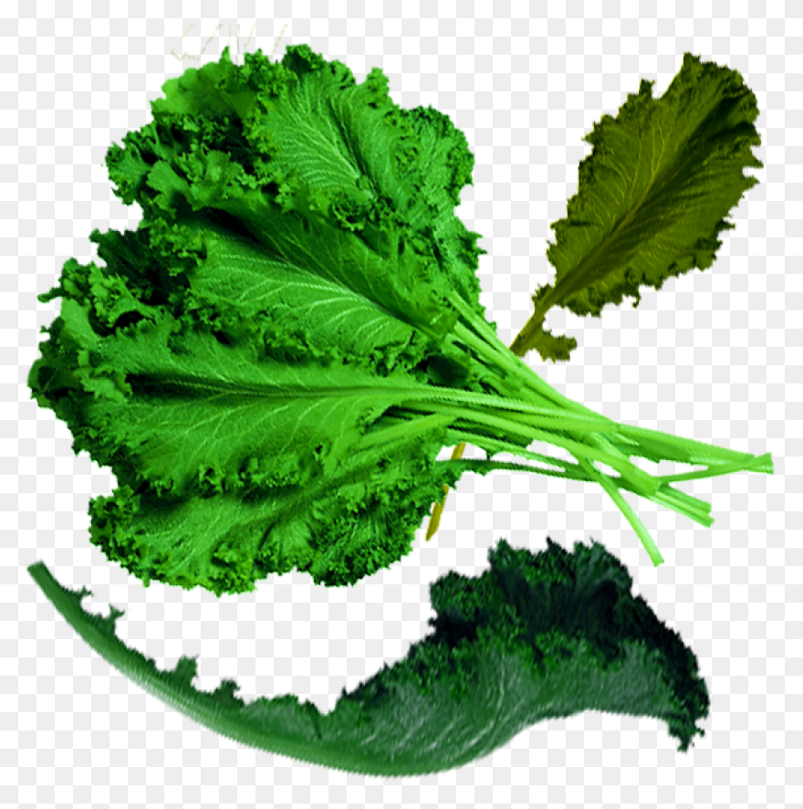 Our Veg | Kale