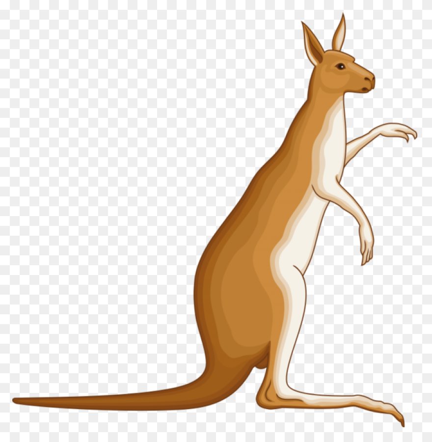 Caution Kangaroo Clip Art At Clipar