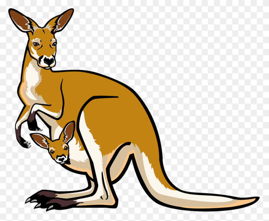 Caution Kangaroo Clip Art At Clipar