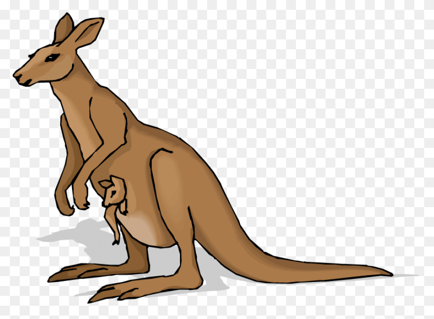 Caution Kangaroo Clip Art At Clipar