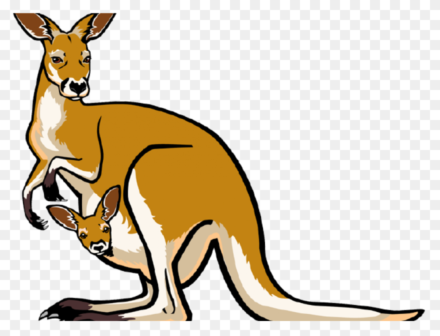 Caution Kangaroo Clip Art At Clipar
