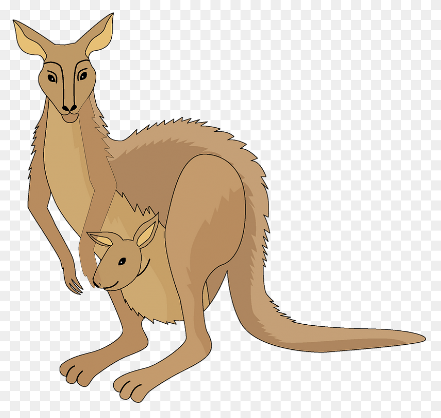Caution Kangaroo Clip Art At Clipar
