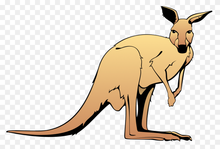 Kangaroo Animal Clipart Free Images - Kangaroo